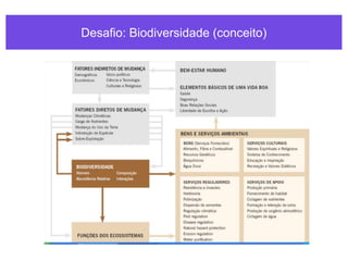 Desafio: Biodiversidade (conceito)
 