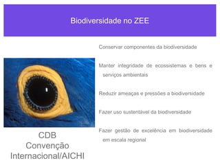 Biodiversidade no ZEE
Conservar componentes da biodiversidade
Manter integridade de ecossistemas e bens e
serviços ambientais
Reduzir ameaças e pressões a biodiversidade
Fazer uso sustentável da biodiversidade
Fazer gestão de excelência em biodiversidade
em escala regional
CDB
Convenção
Internacional/AICHI
 