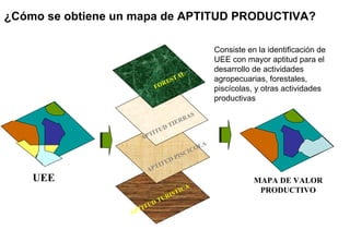 MAPA DE VALOR
PRODUCTIVO
APTITUD PISCICOLA
FORESTAL
APTITUD TIERRAS
APTITUD TURISTICA
UEE
Consiste en la identificación de
UEE con mayor aptitud para el
desarrollo de actividades
agropecuarias, forestales,
piscícolas, y otras actividades
productivas
¿Cómo se obtiene un mapa de APTITUD PRODUCTIVA?
 