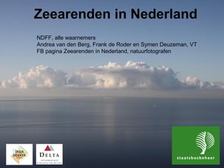 Zeearenden in Nederland
NDFF, alle waarnemers
Andrea van den Berg, Frank de Roder en Symen Deuzeman, VT
FB pagina Zeearenden in Nederland, natuurfotografen
 