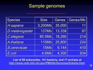 Lecture bioinformatics Part2.next generation | PPT