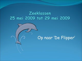 Op naar ‘De Flipper’ 