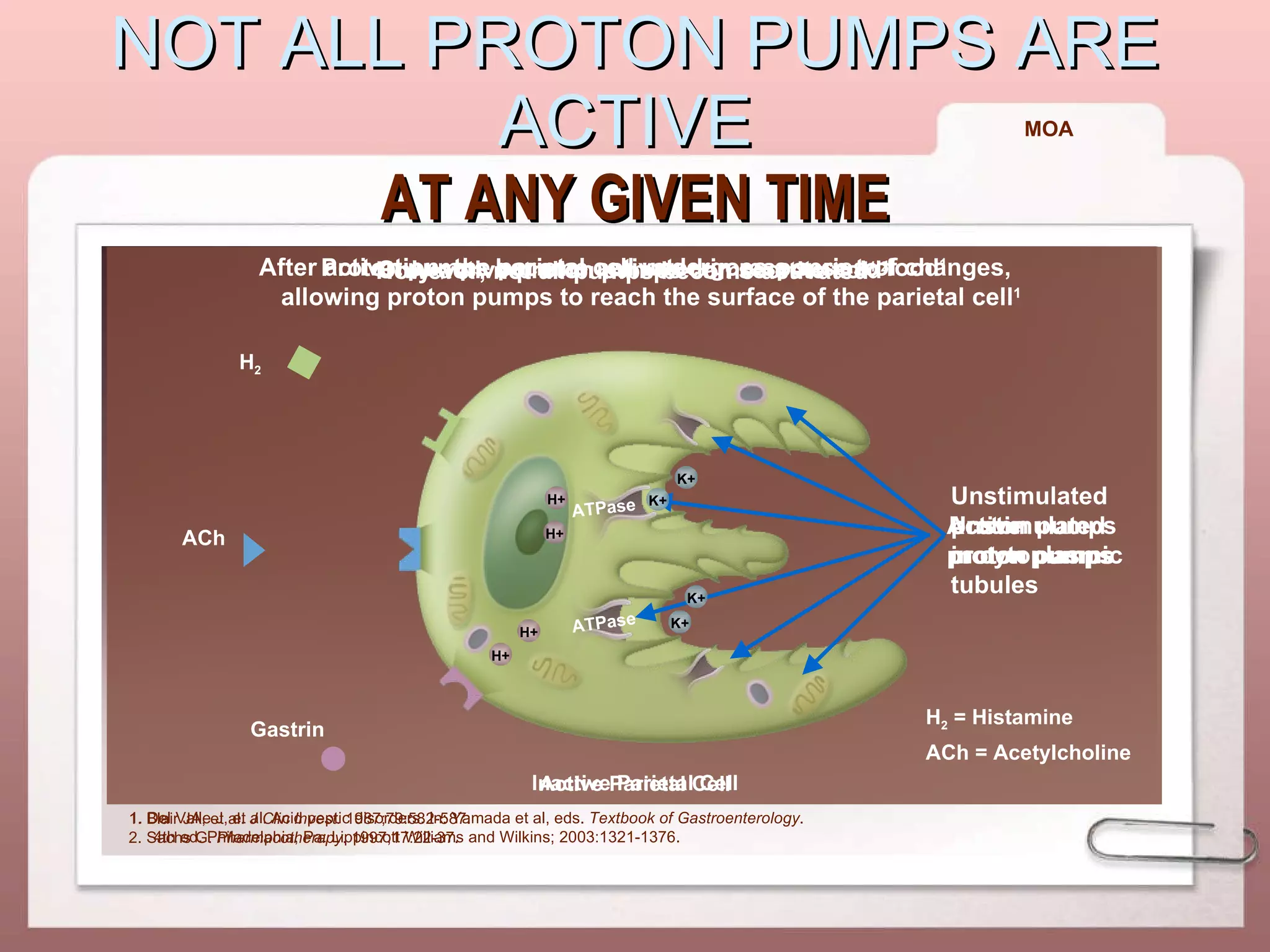 NOT ALL PROTON PUMPS ARE ACTIVE  AT ANY GIVEN TIME 1. Del Valle J, et al. Acid peptic disorders. In: Yamada et al, eds.  Textbook of Gastroenterology . 4th ed. Philadelphia, Pa: Lippincott Williams and Wilkins; 2003:1321-1376.  Unstimulated proton pumps Active  proton pumps Unstimulated proton pumps in cytoplasmic tubules 1. Blair JA, et al.  J Clin Invest.  1987;79:582-587. 2. Sachs G.  Pharmacotherapy . 1997;17:22-37.  H 2  = Histamine ACh = Acetylcholine Proton pumps become activated in response to food 1 Inactive Parietal Cell After activation, the parietal cell undergoes a series of changes, allowing proton pumps to reach the surface of the parietal cell 1 Active Parietal Cell Only active proton pumps can secrete acid 1 However, not all pumps become activated 1,2 ATPase ATPase MOA      Gastrin H 2 ACh H+ H+ H+ H+ K+ K+ K+ K+ 