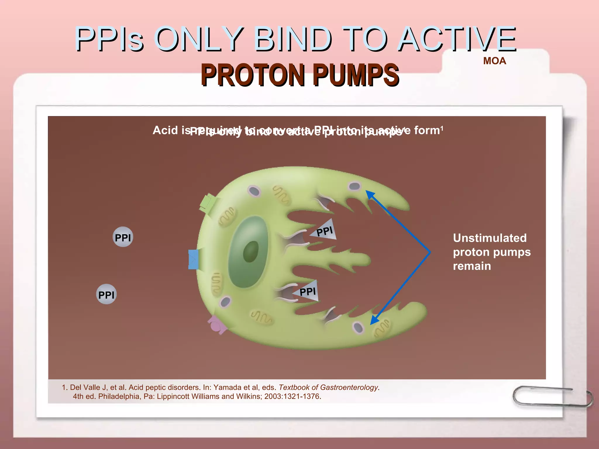 PPIs ONLY BIND TO ACTIVE  PROTON PUMPS Acid is required to convert a PPI into its active form 1 1. Del Valle J, et al. Acid peptic disorders. In: Yamada et al, eds.  Textbook of Gastroenterology . 4th ed. Philadelphia, Pa: Lippincott Williams and Wilkins; 2003:1321-1376.  PPIs only bind to active proton pumps 1 Unstimulated proton pumps remain MOA      PPI PPI PPI PPI 