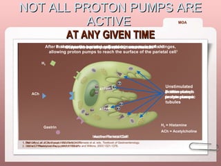 NOT ALL PROTON PUMPS ARE ACTIVE  AT ANY GIVEN TIME 1. Del Valle J, et al. Acid peptic disorders. In: Yamada et al, eds.  Textbook of Gastroenterology . 4th ed. Philadelphia, Pa: Lippincott Williams and Wilkins; 2003:1321-1376.  Unstimulated proton pumps Active  proton pumps Unstimulated proton pumps in cytoplasmic tubules 1. Blair JA, et al.  J Clin Invest.  1987;79:582-587. 2. Sachs G.  Pharmacotherapy . 1997;17:22-37.  H 2  = Histamine ACh = Acetylcholine Proton pumps become activated in response to food 1 Inactive Parietal Cell After activation, the parietal cell undergoes a series of changes, allowing proton pumps to reach the surface of the parietal cell 1 Active Parietal Cell Only active proton pumps can secrete acid 1 However, not all pumps become activated 1,2 ATPase ATPase MOA      Gastrin H 2 ACh H+ H+ H+ H+ K+ K+ K+ K+ 