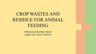 CROP WASTES AND
RESIDUE FOR ANIMAL
FEEDING
Muhammad Zeeshan Akram
Supervisor: Sema YAMAN
 