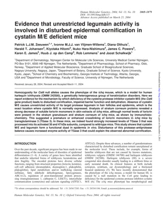 Human Molecular Genetics, 2004, Vol. 13, No. 10 1069–1079 
DOI: 10.1093/hmg/ddh115 
Advance Access published on March 25, 2004 
Evidence that unrestricted legumain activity is 
involved in disturbed epidermal cornification in 
cystatin M/E deficient mice 
Patrick L.J.M. Zeeuwen1,*, Ivonne M.J.J. van Vlijmen-Willems1, Diana Olthuis1, 
Harald T. Johansen2, Kiyotaka Hitomi3, Ikuko Hara-Nishimura4, James C. Powers5, 
Karen E. James5, Huub J. op den Camp6, Rob Lemmens1 and Joost Schalkwijk1 
1Department of Dermatology, Nijmegen Center for Molecular Life Sciences, University Medical Center Nijmegen, 
PO Box 9101, 6500 HB Nijmegen, The Netherlands, 2Department of Pharmacology, School of Pharmacy, Oslo, 
Norway, 3Department of Applied Molecular Bioscience, Graduate School of Bioagricultural Sciences, 
Nagoya University, Nagoya, Japan, 4Department of Botany, Graduate School of Science, Kyoto University, 
Kyoto, Japan, 5School of Chemistry and Biochemistry, Georgia Institute of Technology, Atlanta, Georgia, 
USA and 6Department of Microbiology, Faculty of Science, University of Nijmegen, The Netherlands 
Received January 28, 2004; Revised and Accepted March 11, 2004 
Homozygosity for Cst6 null alleles causes the phenotype of the ichq mouse, which is a model for human 
harlequin ichthyosis (OMIM 242500), a genetically heterogeneous group of keratinization disorders. Here we 
report evidence for the mechanism by which deficiency of the cysteine protease inhibitor cystatin M/E (the Cst6 
gene product) leads to disturbed cornification, impaired barrier function and dehydration. Absence of cystatin 
M/E causes unrestricted activity of its target protease legumain in hair follicles and epidermis, which is the 
exact location where cystatin M/E is normally expressed. Analysis of stratum corneum proteins revealed a 
strong decrease of soluble loricrin monomers in skin extracts of ichq mice, although normal levels of loricrin 
were present in the stratum granulosum and stratum corneum of ichq mice, as shown by immunohisto-chemistry. 
This suggested a premature or enhanced crosslinking of loricrin monomers in ichq mice by 
transglutaminase 3 (TGase 3). In these mice, we indeed found strongly increased levels of TGase 3 that was 
processed into its activated 30 and 47 kDa subunits, compared to wild-type mice. This study shows that cystatin 
M/E and legumain form a functional dyad in epidermis in vivo. Disturbance of this protease–antiprotease 
balance causes increased enzyme activity of TGase 3 that could explain the observed abnormal cornification. 
INTRODUCTION 
Over the past decade, significant progress has been made in our 
understanding of the molecular basis of disorders of epidermal 
differentiation (1– 4). A variety of genes have been identified 
that underlie inherited forms of ichthyosis, keratoderma and 
skin fragility. The encoded proteins have diverse cellular 
functions, ranging from structural properties (loricrin, keratins), 
cell–cell adhesion (desmoplakin, desmoglein-1, plakophilin, 
plakoglobin), lipid metabolism and/or trafficking (steroid 
sulfatase, fatty aldehyde dehydrogenase, lipoxygenases, 
ABCA12), regulation of post-translational protein proces-sing 
(transglutaminase 1, cathepsin C, LEKT1), intercellular 
communication (connexins) and calcium signaling (ATP2C1, 
ATP2A2). Despite these advances, a number of genodermatoses 
characterized by disturbed cornification remain unexplained at 
the molecular level. These include, for example, forms of 
lamellar ichthyosis that are not caused by known mutations, 
ichthyosis vulgaris (OMIM 146700) and harlequin ichthyosis 
(OMIM 242500). Harlequin ichthyosis (HI) is a severe 
congenital skin disorder usually leading to a stillborn fetus or 
early neonatal death. Its clinical features at birth include 
ectropion, eclabium, ear dysmorphology and a thickened 
fissured epidermis (5). We have recently demonstrated that 
the phenotype of the ichq mouse, a model for human HI, is 
caused by a null mutation in the Cst6 gene leading to 
deficiency for the epidermal cysteine protease inhibitor cystatin 
M/E (6). The ichq mice phenotype has morphological and 
*To whom correspondence should be addressed. Tel: þ31 243617245; Fax: þ31 243541184; Email: p.zeeuwen@derma.umcn.nl 
Human Molecular Genetics, Vol. 13, No. 10 # Oxford University Press 2004; all rights reserved 
Downloaded from http://hmg.oxfordjournals.org/ by guest on December 3, 2011 
 