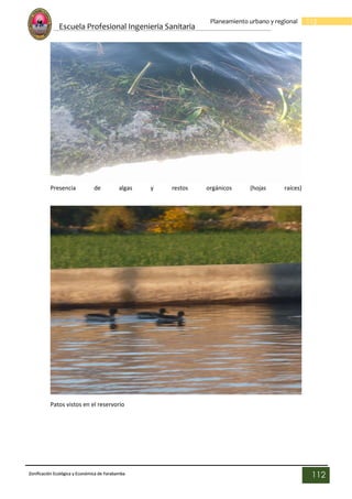 Escuela Profesional Ingenieria Sanitaria
112
Planeamiento urbano y regional
Zonificación Ecológica y Económica de Yarabamba
112
Presencia de algas y restos orgánicos (hojas raíces)
Patos vistos en el reservorio
 