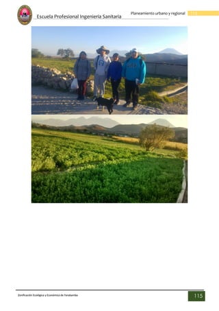 Escuela Profesional Ingenieria Sanitaria
115
Planeamiento urbano y regional
Zonificación Ecológica y Económica de Yarabamba
115
 