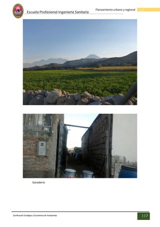 Escuela Profesional Ingenieria Sanitaria
117
Planeamiento urbano y regional
Zonificación Ecológica y Económica de Yarabamba
117
Ganadería
 