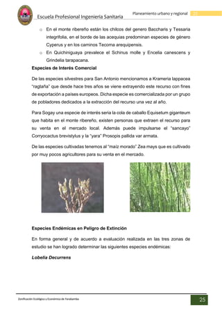 Escuela Profesional Ingenieria Sanitaria
25
Planeamiento urbano y regional
Zonificación Ecológica y Económica de Yarabamba
25
o En el monte ribereño están los chilcos del genero Baccharis y Tessaria
integrifolia, en el borde de las acequias predominan especies de género
Cyperus y en los caminos Tecoma arequipensis.
o En Quichiniguaya prevalece el Schinus molle y Encelia canescens y
Grindelia tarapacana.
Especies de Interés Comercial
De las especies silvestres para San Antonio mencionamos a Krameria lappacea
“ragtaña” que desde hace tres años se viene extrayendo este recurso con fines
de exportación a países europeos. Dicha especie es comercializada por un grupo
de pobladores dedicados a la extracción del recurso una vez al año.
Para Sogay una especie de interés seria la cola de caballo Equisetum giganteum
que habita en el monte ribereño, existen personas que extraen el recurso para
su venta en el mercado local. Además puede impulsarse el “sancayo”
Corryocactus brevistylus y la “yara” Prosopis pallida var armata.
De las especies cultivadas tenemos al “maíz morado” Zea mays que es cultivado
por muy pocos agricultores para su venta en el mercado.
Especies Endémicas en Peligro de Extinción
En forma general y de acuerdo a evaluación realizada en las tres zonas de
estudio se han logrado determinar las siguientes especies endémicas:
Lobelia Decurrens
 