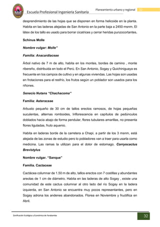 Escuela Profesional Ingenieria Sanitaria
32
Planeamiento urbano y regional
Zonificación Ecológica y Económica de Yarabamba
32
desprendimiento de las hojas que se disponen en forma helicoide en la planta.
Habita en las laderas alejadas de San Antonio en la parte baja a 2450 msnm, El
látex de los tallo es usado para borrar cicatrices y cerrar heridas punzocortantes.
Schinus Molle
Nombre vulgar: Molle”
Familia: Anacardiaceae
Árbol nativo de 7 m de alto, habita en los montes, bordes de camino , monte
ribereño, distribuida en todo el Perú. En San Antonio, Sogay y Quichiniguaya es
frecuente en los campos de cultivo y en algunas viviendas. Las hojas son usadas
en frotaciones para el resfrío, los frutos según un poblador son usados para los
riñones.
Senecio Nutans “Chachacoma”
Familia: Asteraceae
Arbusto pequeño de 30 cm de tallos erectos ramosos, de hojas pequeñas
suculentas, alternas romboides, Inflorescencia en capítulos de pedúnculos
doblados hacia abajo de forma pendular, flores tubulares amarillas, no presenta
flores liguladas, fruto aquenio.
Habita en laderas borde de la carretera a Chapi, a partir de los 3 msnm, está
alejada de las zonas de estudio pero lo pobladores van a traer para usarla como
medicina. Las ramas la utilizan para el dolor de estomago. Corryocactus
Brevistylus
Nombre vulgar. “Sanque”
Familia. Cactaceae
Cactácea columnar de 1.50 m de alto, tallos erectos con 7 costillas y abundantes
areolas de 1 cm de diámetro. Habita en las laderas de alto Sogay , existe una
comunidad de este cactus columnar al otro lado del rio Sogay en la ladera
izquierda, en San Antonio se encuentra muy pocos representantes, pero en
Sogay adrona los andenes abandonados. Florea en Noviembre y fructifica en
Abril.
 