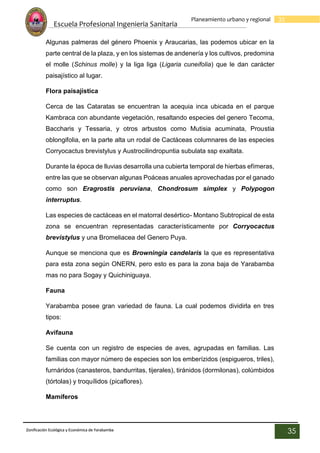 Escuela Profesional Ingenieria Sanitaria
35
Planeamiento urbano y regional
Zonificación Ecológica y Económica de Yarabamba
35
Algunas palmeras del género Phoenix y Araucarias, las podemos ubicar en la
parte central de la plaza, y en los sistemas de andenería y los cultivos, predomina
el molle (Schinus molle) y la liga liga (Ligaria cuneifolia) que le dan carácter
paisajístico al lugar.
Flora paisajística
Cerca de las Cataratas se encuentran la acequia inca ubicada en el parque
Kambraca con abundante vegetación, resaltando especies del genero Tecoma,
Baccharis y Tessaria, y otros arbustos como Mutisia acuminata, Proustia
oblongifolia, en la parte alta un rodal de Cactáceas columnares de las especies
Corryocactus brevistylus y Austrocilindropuntia subulata ssp exaltata.
Durante la época de lluvias desarrolla una cubierta temporal de hierbas efímeras,
entre las que se observan algunas Poáceas anuales aprovechadas por el ganado
como son Eragrostis peruviana, Chondrosum simplex y Polypogon
interruptus.
Las especies de cactáceas en el matorral desértico- Montano Subtropical de esta
zona se encuentran representadas característicamente por Corryocactus
brevistylus y una Bromeliacea del Genero Puya.
Aunque se menciona que es Browningia candelaris la que es representativa
para esta zona según ONERN, pero esto es para la zona baja de Yarabamba
mas no para Sogay y Quichiniguaya.
Fauna
Yarabamba posee gran variedad de fauna. La cual podemos dividirla en tres
tipos:
Avifauna
Se cuenta con un registro de especies de aves, agrupadas en familias. Las
familias con mayor número de especies son los emberízidos (espigueros, triles),
furnáridos (canasteros, bandurritas, tijerales), tiránidos (dormilonas), colúmbidos
(tórtolas) y troquílidos (picaflores).
Mamíferos
 