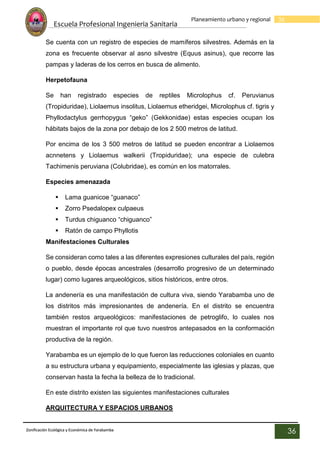 Escuela Profesional Ingenieria Sanitaria
36
Planeamiento urbano y regional
Zonificación Ecológica y Económica de Yarabamba
36
Se cuenta con un registro de especies de mamíferos silvestres. Además en la
zona es frecuente observar al asno silvestre (Equus asinus), que recorre las
pampas y laderas de los cerros en busca de alimento.
Herpetofauna
Se han registrado especies de reptiles Microlophus cf. Peruvianus
(Tropiduridae), Liolaemus insolitus, Liolaemus etheridgei, Microlophus cf. tigris y
Phyllodactylus gerrhopygus “geko” (Gekkonidae) estas especies ocupan los
hábitats bajos de la zona por debajo de los 2 500 metros de latitud.
Por encima de los 3 500 metros de latitud se pueden encontrar a Liolaemos
acnnetens y Liolaemus walkerii (Tropiduridae); una especie de culebra
Tachimenis peruviana (Colubridae), es común en los matorrales.
Especies amenazada
 Lama guanicoe “guanaco”
 Zorro Psedalopex culpaeus
 Turdus chiguanco “chiguanco”
 Ratón de campo Phyllotis
Manifestaciones Culturales
Se consideran como tales a las diferentes expresiones culturales del país, región
o pueblo, desde épocas ancestrales (desarrollo progresivo de un determinado
lugar) como lugares arqueológicos, sitios históricos, entre otros.
La andenería es una manifestación de cultura viva, siendo Yarabamba uno de
los distritos más impresionantes de andenería. En el distrito se encuentra
también restos arqueológicos: manifestaciones de petroglifo, lo cuales nos
muestran el importante rol que tuvo nuestros antepasados en la conformación
productiva de la región.
Yarabamba es un ejemplo de lo que fueron las reducciones coloniales en cuanto
a su estructura urbana y equipamiento, especialmente las iglesias y plazas, que
conservan hasta la fecha la belleza de lo tradicional.
En este distrito existen las siguientes manifestaciones culturales
ARQUITECTURA Y ESPACIOS URBANOS
 