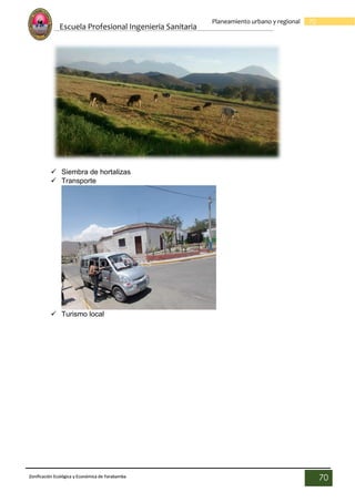 Escuela Profesional Ingenieria Sanitaria
70
Planeamiento urbano y regional
Zonificación Ecológica y Económica de Yarabamba
70
 Siembra de hortalizas
 Transporte
 Turismo local
 