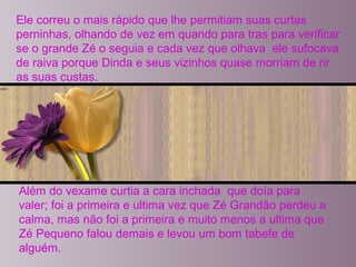 Ele correu o mais rápido que lhe permitiam suas curtas
perninhas, olhando de vez em quando para tras para verificar
se o grande Zé o seguia e cada vez que olhava ele sufocava
de raiva porque Dinda e seus vizinhos quase morriam de rir
as suas custas.
Além do vexame curtia a cara inchada que doía para
valer; foi a primeira e ultima vez que Zé Grandão perdeu a
calma, mas não foi a primeira e muito menos a ultima que
Zé Pequeno falou demais e levou um bom tabefe de
alguém.
 