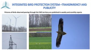 Via Pontica and Integrated Bird Protection System in Kaliakra, NE ...