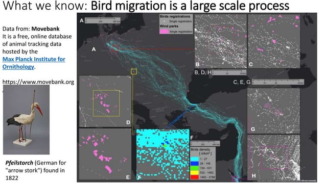 Via Pontica and Integrated Bird Protection System in Kaliakra, NE ...