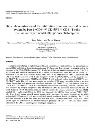 Journal of Neuroimmunology, 40 (1992) 57-70                                                                                        57
© 1992 Elsevier Science Publishers B.V. All rights reserved 0165-5728/92/$05.00

JNI 02223




Direct demonstration of the infiltration of murine central nervous
       system by P g p - 1 / C D 4 4 high CD45RB l°w CD4 + T cells
       that induce experimental allergic encephalomyelitis

                                         R a n a Zeine    a   and Trevor Owens a,b
    Departments of Medicine, and b Department of Neurology and Neurosurgery, Montreal Neurological Institute, McGill Unicersity,
                                                  Montreal, Quebec, Canada
                                                   (Received 22 January 1992)
                                                (Revised, received 26 March 1992)
                                                    (Accepted 27 March 1992)


Key words: Central nervous system infiltration; Memory/effector T cells; Experimental allergic encephalomyelitis

Summary

    In experimental allergic encephalomyelitis (EAE), autoimmune T cells infiltrate the central nervous
system (CNS) and initiate demyelinating pathology. We have used flow cytometry to directly analyse the
migration to the CNS of MBP-reactive CD4 + T cells labelled with a lipophilic fluorescent dye (PKH2), in
S J L / J mice with passively transferred EAE. Labelled cells constituted about 45% of the CNS CD4 ÷
population at the time of E A E onset. Almost all ( > 90%) of the PKH2-1abelled CD4 + T cells from E A E
CNS were blasts and were a / ~ T cell receptor (TCR) +, CD44(Pgp-1) high, and the majority were
CD45RW °w. By contrast, most PKH2-1abelled CD4 ÷ T cells in lymph nodes, although CD44 high, were
CD45RB high cells. The cells that were transferred to induce E A E were essentially similar to antigen-
primed lymph node cell populations, containing less than 15% CD44 high cells, and most of them were
CD45RB high. The CD44 high CD45RB l°w phenotype is characteristic of m e m o r y / e f f e c t o r T cells that have
been activated by antigen recognition. The difference in CD45RB expression between CNS and LN
could therefore reflect differential exposure a n d / o r response to antigen. Consistent with this, PKH2-
labelled CD4 + cells isolated from the CNS were responsive to MBP in vitro, whereas PKH2 + CD4 ÷
cells from lymph nodes showed almost undetectable responses. In control experiments in which
ovalbumin (OVA)-reactive T cells were transferred, a small number of fluorescent-labelled CD4 + T cells
were also detected in CNS, but there were very few blasts, and these remained CD45RB high. These
results argue for induction of the m e m o r y / e f f e c t o r phenotype of CD4 + T cells, and their selective
retention in the CNS, as a consequence of antigen recognition.




Correspondence to: T. Owens, Neuroimmunology, Montreal
Neurological Institute, 3801 University Street, Montreal, Que-
bec, Canada H3A 2B4.
 