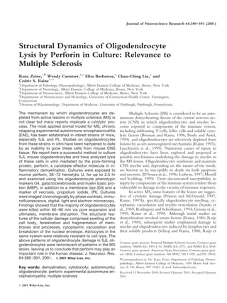 Journal of Neuroscience Research 64:380 –391 (2001)




Structural Dynamics of Oligodendrocyte
Lysis by Perforin in Culture: Relevance to
Multiple Sclerosis
Rana Zeine,1* Wendy Cammer,2,3 Elisa Barbarese,4 Chau-Ching Liu,5 and
Cedric S. Raine1–3
1
  Department of Pathology (Neuropathology), Albert Einstein College of Medicine, Bronx, New York
2
  Department of Neurology, Albert Einstein College of Medicine, Bronx, New York
3
  Department of Neuroscience, Albert Einstein College of Medicine, Bronx, New York
4
  Departments of Neuroscience and Neurology, University of Connecticut Health Center, Farmington,
Connecticut
5
  Division of Rheumatology, Department of Medicine, University of Pittsburgh, Pittsburgh, Pennsylvania

The mechanism by which oligodendrocytes are de-                          Multiple Sclerosis (MS) is considered to be an auto-
pleted from active lesions in multiple sclerosis (MS) is          immune demyelinating disease of the central nervous sys-
not clear but many reports implicate a cytolytic pro-             tem (CNS) in which oligodendrocytes and myelin be-
cess. The most applied animal model for MS, chronic               come exposed to components of the immune system,
relapsing experimental autoimmune encephalomyelitis               including inﬁltrating T-cells, killer cells and soluble cyto-
(EAE), has been established in inbred strains of mice,            lytic factors (Brosnan and Raine, 1996; Pouly and Antel,
especially SJL and PL. Studies on oligodendrocytes                1999), and oligodendrocytes are selectively depleted from
from these strains in vitro have been hampered to date            lesions by as-yet-unrecognized mechanisms (Raine 1997a;
by an inability to grow these cells from mouse CNS                Lucchinetti et al., 1999). Numerous causes of injury to
tissue. We report here a successful method to culture             oligodendrocytes have been explored and proposed as
SJL mouse oligodendrocytes and have analyzed lysis                possible mechanisms underlying the damage to myelin in
of these cells in vitro mediated by the pore-forming              the MS lesion. Oligodendrocytes synthesize and maintain
protein, perforin, a candidate effector molecule in in-           CNS myelin and, depending on the nature of the insult,
ﬂammatory demyelination. Cultures were exposed to                 are known to be susceptible to death via both apoptosis
murine perforin, 36 –72 hemolytic U, for up to 2.5 hr             and necrosis, (D’Souza et al., 1996; Ludwin, 1997; Merrill
and examined using the oligodendrocyte phenotypic                 and Scolding, 1999). Their documented susceptibility to
markers O4, galactocerebroside and myelin basic pro-              injury by components of the immune system renders them
tein (MBP), in addition to a membrane dye (DiI) and a             vulnerable to damage in the vicinity of immune responses.
marker of necrosis, propidium iodide, (PI). Cultures                     In active MS, some features of the lesion are sugges-
were imaged chronologically by phase contrast, immu-              tive of cytolytic damage (Prineas and McDonald, 1997;
noﬂuorescence, digital, light and electron microscopy.            Raine, 1997b), speciﬁcally oligodendrocyte swelling, cy-
Findings showed that the majority of oligodendrocytes             toplasmic vacuolation and myelin vesiculation (Suzuki et
were killed within 60 –90 min via pore expansion and              al., 1969; Rodriguez and Scheithauer, 1994; Genain et al.,
ultimately, membrane disruption. The structural fea-              1999; Raine et al., 1999). Although initial studies on
tures of the cellular damage comprised swelling of the            demyelination invoked serum factors (Raine, 1984; Ruijs
cell body, fenestration and fragmentation of mem-                 et al., 1990), subsequent studies emphasized damage to
branes and processes, cytoplasmic vacuolation and                 myelin and oligodendrocytes induced by lymphocytes and
breakdown of the nuclear envelope. Astrocytes in the              their soluble products (Selmaj and Raine, 1988; Ruijs et
same system were relatively resistant to cell lysis. The
above patterns of oligodendrocyte damage in SJL oli-
                                                                  Contract grant sponsor: National Multiple Sclerosis Society; Contract grant
godendrocytes were reminiscent of patterns in the MS              numbers: NMSS RG 1001-J-10, NMSS RG 2971, and NMSS RG 2843;
lesion, leaving us to conclude that perforin may play an          Contract grant sponsor: American Heart Association; Contract grant spon-
important role in the human disease. J. Neurosci. Res.            sor: HHS; Contract grant numbers: NS 08952, NS 11920, and NS 19943.
64:380 –391, 2001. © 2001 Wiley-Liss, Inc.                        *Correspondence to: Dr. Rana Zeine, Department of Pathology (Neuro-
                                                                  pathology), Albert Einstein College of Medicine, 1300 Morris Park Ave-
Key words: demyelination; cytotoxicity; autoimmunity;             nue, F-140, Bronx, NY 10461. E-mail: harkzen@aol.com
oligodendrocyte; perforin; experimental autoimmune en-            Received 13 November 2000; Revised 8 January 2001; Accepted 9 January
cephalomyelitis; multiple sclerosis                               2001

© 2001 Wiley-Liss, Inc.
 