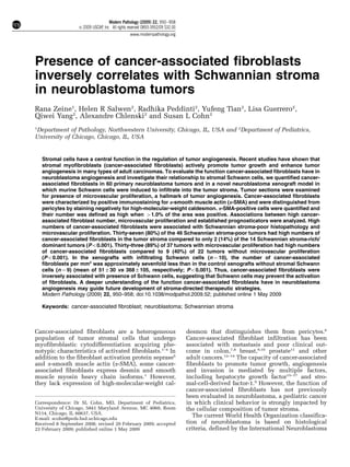 Modern Pathology (2009) 22, 950–958
                   & 2009 USCAP, Inc All rights reserved 0893-3952/09 $32.00
                                                 www.modernpathology.org




Presence of cancer-associated fibroblasts
inversely correlates with Schwannian stroma
in neuroblastoma tumors
Rana Zeine1, Helen R Salwen2, Radhika Peddinti2, Yufeng Tian2, Lisa Guerrero2,
Qiwei Yang2, Alexandre Chlenski2 and Susan L Cohn2
1
Department of Pathology, Northwestern University, Chicago, IL, USA and 2Department of Pediatrics,
University of Chicago, Chicago, IL, USA


    Stromal cells have a central function in the regulation of tumor angiogenesis. Recent studies have shown that
    stromal myofibroblasts (cancer-associated fibroblasts) actively promote tumor growth and enhance tumor
    angiogenesis in many types of adult carcinomas. To evaluate the function cancer-associated fibroblasts have in
    neuroblastoma angiogenesis and investigate their relationship to stromal Schwann cells, we quantified cancer-
    associated fibroblasts in 60 primary neuroblastoma tumors and in a novel neuroblastoma xenograft model in
    which murine Schwann cells were induced to infiltrate into the tumor stroma. Tumor sections were examined
    for presence of microvascular proliferation, a hallmark of tumor angiogenesis. Cancer-associated fibroblasts
    were characterized by positive immunostaining for a-smooth muscle actin (a-SMA) and were distinguished from
    pericytes by staining negatively for high-molecular-weight caldesmon. a-SMA-positive cells were quantified and
    their number was defined as high when 41.0% of the area was positive. Associations between high cancer-
    associated fibroblast number, microvascular proliferation and established prognosticators were analyzed. High
    numbers of cancer-associated fibroblasts were associated with Schwannian stroma-poor histopathology and
    microvascular proliferation. Thirty-seven (80%) of the 46 Schwannian stroma-poor tumors had high numbers of
    cancer-associated fibroblasts in the tumor stroma compared to only 2 (14%) of the 14 Schwannian stroma-rich/
    dominant tumors (Po0.001). Thirty-three (89%) of 37 tumors with microvascular proliferation had high numbers
    of cancer-associated fibroblasts compared to 9 (40%) of 22 tumors without microvascular proliferation
    (Po0.001). In the xenografts with infiltrating Schwann cells (n ¼ 10), the number of cancer-associated
    fibroblasts per mm2 was approximately sevenfold less than in the control xenografts without stromal Schwann
    cells (n ¼ 9) (mean of 51±30 vs 368±105, respectively; Po0.001). Thus, cancer-associated fibroblasts were
    inversely associated with presence of Schwann cells, suggesting that Schwann cells may prevent the activation
    of fibroblasts. A deeper understanding of the function cancer-associated fibroblasts have in neuroblastoma
    angiogenesis may guide future development of stroma-directed therapeutic strategies.
    Modern Pathology (2009) 22, 950–958; doi:10.1038/modpathol.2009.52; published online 1 May 2009

    Keywords: cancer-associated fibroblast; neuroblastoma; Schwannian stroma



Cancer-associated fibroblasts are a heterogeneous                              desmon that distinguishes them from pericytes.6
population of tumor stromal cells that undergo                                 Cancer-associated fibroblast infiltration has been
myofibroblastic cytodifferentiation acquiring phe-                             associated with metastasis and poor clinical out-
notypic characteristics of activated fibroblasts.1–4 In                        come in colon,7,8 breast,9,10 prostate11 and other
addition to the fibroblast activation protein seprase5                         adult cancers.12–14 The capacity of cancer-associated
and a-smooth muscle actin (a-SMA), some cancer-                                fibroblasts to promote tumor growth, angiogenesis
associated fibroblasts express desmin and smooth                               and invasion is mediated by multiple factors,
muscle myosin heavy chain isoforms.1 However,                                  including hepatocyte growth factor15–17 and stro-
they lack expression of high-molecular-weight cal-                             mal-cell-derived factor-1.9 However, the function of
                                                                               cancer-associated fibroblasts has not previously
                                                                               been evaluated in neuroblastoma, a pediatric cancer
Correspondence: Dr SL Cohn, MD, Department of Pediatrics,                      in which clinical behavior is strongly impacted by
University of Chicago, 5841 Maryland Avenue, MC 4060, Room                     the cellular composition of tumor stroma.
N114, Chicago, IL 60637, USA.
E-mail: scohn@peds.bsd.uchicago.edu
                                                                                  The current World Health Organization classifica-
Received 8 September 2008; revised 20 February 2009; accepted                  tion of neuroblastoma is based on histological
23 February 2009; published online 1 May 2009                                  criteria, defined by the International Neuroblastoma
 