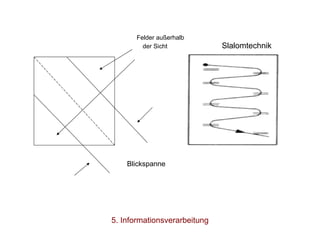 Felder außerhalb   der Sicht  Slalomtechnik Blickspanne  5. Informationsverarbeitung 