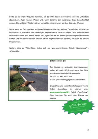 Sollte es zu einem Wildunfall kommen, rät der DJV, Ruhe zu bewahren und die Unfallstelle
abzusichern. Auch müssen Polizei und, wenn bekannt, der zuständige Jäger benachrichtigt
werden. Die getöteten Wildtiere dürfen keinesfalls mitgenommen werden, dies wäre Wilderei.


Selbst wenn am Fahrzeug kein sichtbarer Schaden entstanden und das Tier geflohen ist, bittet der
DJV darum, in jedem Fall den zuständigen Jagdpächter zu benachrichtigen. Denn verletztes Wild
läuft unter Schock erst einmal weiter. Ein Jäger kann es mit einem speziell ausgebildeten Hund
suchen und von seinen Qualen erlösen. Ist der Jagdpächter nicht bekannt, hilft auch die örtliche
Polizei weiter.


Weitere Infos zu Wildunfällen finden sich auf www.jagd-online.de, Rubrik „Naturschutz“ -
„Wildunfälle“.




                                                 Bitte beachten Sie:


                                                 Den Kontakt zu regionalen Interviewpartnern
                                                 stellen wir nach Möglichkeit gerne her. Bitte
                                                 kontaktieren Sie die DJV-Pressestelle:
                                                 Tel. (02 28) 9 49 06 22 oder
                                                 E-Mail: pressestelle@jagdschutzverband.de


                                                 Druckfähige und kostenfreie Fotos zum Thema
                                                 finden    Journalisten   im    Internet     unter
                                                 www.newsroom.de/djv, Rubrik „Foto-Archiv“.
                                                 Bitte beachten Sie auch das Thema des
                                                 Monats.




=                                                                                                O
 