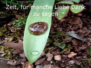 Zeit, für manche Liebe Dank zu sagen 