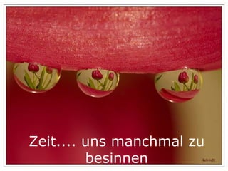 Zeit.... uns manchmal zu besinnen 