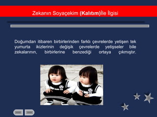Zekanın Soyaçekim (Kalıtım)İle İlgisi
Doğumdan itibaren birbirlerinden farklı çevrelerde yetişen tek
yumurta ikizlerinin değişik çevrelerde yetişseler bile
zekalarının, birbirlerine benzediği ortaya çıkmıştır.
 