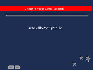 Bebeklik-Yetişkinlik
Zekanın Yaşa Göre Gelişimi
 