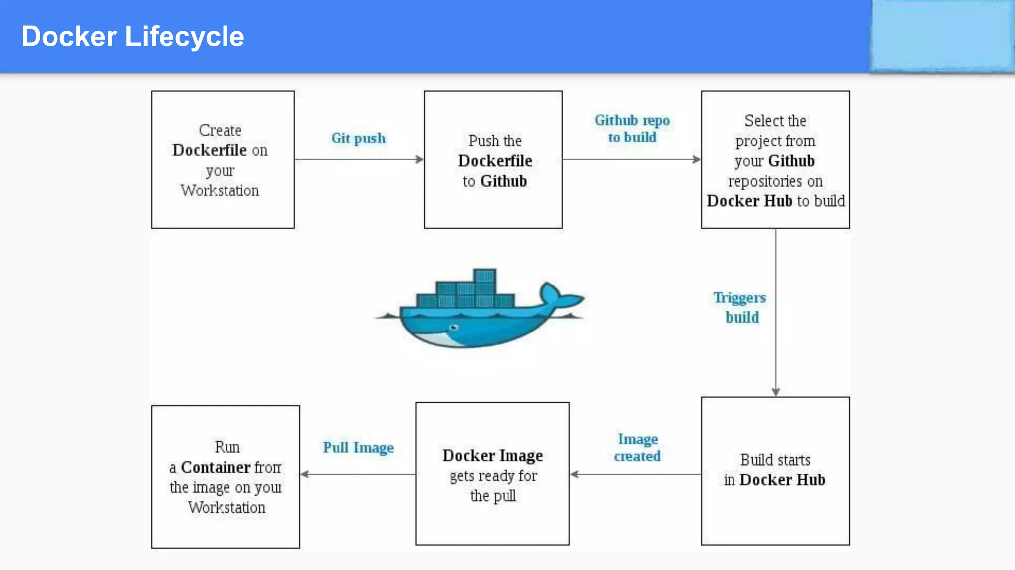 Docker Lifecycle
 