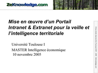 Mise en œuvre d’un Portail Intranet & Extranet pour la veille et l’intelligence territoriale Université Toulouse I MASTER Intelligence économique  10 novembre 2005 