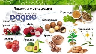 Заметки фитохимика
Личи
Гранат
Яблоко Авокадо
Топинамбур
Гречка
Кориандр
Макадамия
 
