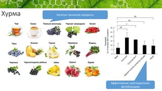 Хурма Богатые таннином продукты
Эффективные «растворители»
фитобезоаров
 