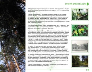 Сосняк около пасеки
Старый сосняк-черничник с крупными соснами (площадь около 5 га) примыкает с севера к пасеке, расположенной недалеко от 11-го микрорайона
Зеленограда.
Сосняк двухъярусный с крупными соснами (старше 160 лет) и елями
(старше 130 лет), с еловым подростом и довольно редким подлеском,
состоящим из рябины, лещины и малины. В травяном покрове доминируют черника, кислица, зеленчук желтый, присутствуют щучка дернистая,
звездчатка средняя, седмичник, земляника лесная и крупные лесные
папоротники (щитовник игольчатый, щитовник Линнея и редкий для города
вид - щитовник буковый).
Под полог леса проникли травы, чуждые местному лесу – недотрога  мелкоцветковая с маленькими жёлтыми цветками и недотрога железистая с
крупными малиновыми и розовыми  цветками.
Краеведческая справка: В конце ХIX в. этот земельный участок с дачами,
расположенный между поселком Крюково и деревней Матушкино, принадлежал известному государственному деятелю, реформатору П.А. Столыпину. «Впечатление благоприятное – дачки… такие, как все под Москвою,
но совершенно заново ремонтированные, земля под снегом, не видать,
но лес, хотя молод, но хорош; он даже слишком густ, так что нуждается
в чистке…» - писал об этой территории Петр Столыпин в 1899 г.  Примечательно, что Столыпины владели великолепной усадьбой Середниково
(с 1825 до 1869 гг.), которая расположена в окрестностях Зеленограда (в
Солнечногорском районе) и является историко-культурным памятником.
В начале ХХ века на территории нынешней пасеки располагалась
дача лесоторговца М.Д. Сокольницкого, купившего участок земли у
П.Столыпина. К даче примыкали хозяйственные постройки и прямоугольный Чудинов пруд с мужской и женской купальнями. Позднее в здании
бывшей дачи М.Д.Сокольницкого располагалось Крюковское лесничество.
В Чудинов пруд впадал ручей, берущий начало в западной части бывшей
деревни Матушкино (сейчас территория Северной промзоны Зеленограда). Местные жители вспоминают, что во время весеннего половодья на
полях, через которые протекал ручей, появлялись щуки и метали икру. В
этот ручей впадали еще три ручья, доставлявшие населению деревни немало хлопот в весенние и осенние паводки.
Пасека возникла здесь в 1980 году по инициативе пчеловодов-любителей, объединившиеся в клуб «Нектар».

13

 