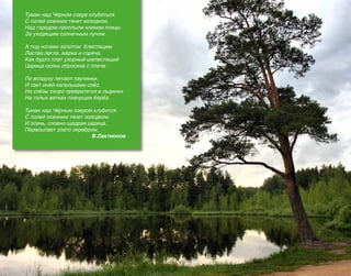 Туман над Чёрном озере клубиться.
С полей осенних тянет холодком.
Над городом проплыли клином птицы
За уходящим солнечным лучом.
А под ногами золотом блестящим
Листва легла, жарка и горяча,
Как будто плат узорный шелестящий
Царица-осень сбросила с плеча.
По воздуху летают паутинки,
И тает иней капельками слёз.
Но слёзы скоро превратятся в льдинки
На голых ветках плачущих берёз.
Туман над Чёрным озером клубится.
С полей осенним тянет холодком.
И осень, словно щедрая царица,
Пересыпает злато серебром.
В.Лактионов

24

 