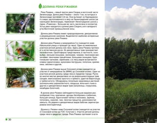 Долина реки Ржавки
Река Ржавка – левый приток реки Сходни в восточной части
Зеленограда. Длина реки Ржавки – около 7 км, из которых в
Зеленограде протекает 4,6 км. Она вытекает из Куроедовского озера, расположенного в лесу за Ленинградским шоссе (за
границами Зеленограда), пересекает Ленинградское шоссе у
парка «Ровесник». Большая ее часть заключена в коллектор.
Устье реки находится в долине реки Сходня у юго-западного
угла Восточной промышленной зоны.
Долина реки Ржавка имеет природоохранное, декоративное
и рекреационное значение. Выделяются наиболее интересные
участки долины реки Ржавка:  
Долина реки Ржавка у микрорайона 5-а (находится ниже
Никольской улицы и проходит до леса). Один из живописных
участков речной долины вне леса. Здесь река Ржавка протекает в естественном русле. Из декоративных трав произрастает
селезёночник. Орнитофауна представлена, в частности, соловьями, лесными коньками, овсянками, чижами, пеночками-весничками, пеночками-трещётками, большими синицами, буроголовыми гаичками, зарянками, а в лесу рядом встречаются
славки-черноголовки, мухоловки-пеструшки, поползни, крапивники, зяблики и другие.
Долина реки Ржавки выше Сосновой аллеи (находится на
участке от микрорайона 5а (МЖК) до Сосновой аллеи). Один из
участков речной долины среди леса в пределах города. Русло
во многих местах декоративно из-за разросшихся водных трав
(элодея, ежеголовника простого и прямого, рдестов Берхтольда
и гребенчатого). Обнаружены популяции охраняемых растений
(колокольчика широколистного, ландыша, вольчьего лыка и
других) и декоративных видов трав (калужницы, страусника,
незабудки болотной).
В долине реки Ржавки наблюдается большое видовое разнообразие птиц: крапивник, дрозды белобровик и рябинник,
большая синица, буроголовая гаичка и московка, зарянка,
поползень, королек, чиж, пеночка-трещотка, длиннохвостая
неясыть. Из редких и декоративных видов бабочек зарегистрирована многоцветница.
Долина р. Ржавки ниже Сосновой аллеи (находится на участке
от Сосновой аллеи до ГСК «Спутник»). Участок речной долины
среди леса в пределах города. Река Ржавка протекает в есте-

30

 