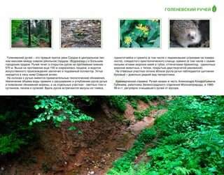 Голеневский ручей

Голеневский ручей – это правый приток реки Сходни в центральном лесном массиве между озером Школьное (прудом «Водокачка») и Большим
городским прудом. Ручей течет в открытом русле на протяжении нижних
570 м. Выше на протяжении еще 150 м сохранилась лощина, а водоток
искусственного происхождения заключен в подземный коллектор. Устье
находится в лесу ниже Озёрной аллеи.
На склонах к ручью имеются примечательные геологические обнажения.
Увеличение объема воды привело к расширению и углублению русла ручья
и появлению обнажений морены, а на отдельных участках - светлых глин и
суглинков, песков и супесей. Вдоль русла встречаются валуны из гнейса,

гранитогнейса и гранита (в том числе с ледниковыми штрихами на поверхности), слюдистого кристаллического сланца, кремня (в том числе с окаменелыми иглами морских ежей и губок; отпечатками брахиопод - одиночных
морские животных, с телом, покрытым двустворчатой раковиной).
На отвесных участках склона вблизи русла ручья наблюдается щитовник
буковый – довольно редкий вид папоротника.
Краеведческая справка: Ручей назван в честь Александра Кондратьевича
Голенева, работника Зеленоградского отделения Москомприроды, в 198090-е гг. регулярно очищавшего ручей от мусора.

33

 