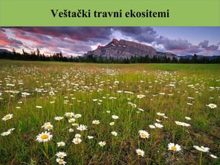 Veštački travni ekositemi
 