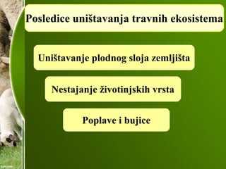 Posledice uništavanja travnih ekosistema
Nestajanje životinjskih vrsta
Uništavanje plodnog sloja zemljišta
Poplave i bujice
 