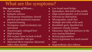 What are the symptoms?
The symptoms of ZS are…
● Poor sucking
● Epileptic seizures
● Psychomotor retardation: slowed
physical and emotional response
● Impaired hearing
● Nystagmus: rapid involuntary eye
movement
● Hepatomegaly: enlarged liver
● High forehead
● Flat occiput: bone in back of skull
● Large fontanelle: soft spot
● Abnormal Moro response: abnormal
reflex when startled
● Low broad nasal bridge
● Epicanthus: skin fold of the eyelids
● High arched platelet: roof of mouth
● External ear deformities
● Micrognathia: small chin
● Multiple skin folds of the neck
● Brushfield spots: Speckled iris
● Cataracts: Cloudy corneas
● Glaucoma: high fluid pressure in the
eyes causing blindness
● Retinal pigmentation
● Severe hypotonia: too much muscle
tone
● Hyperreflexia: slow reflexes
 