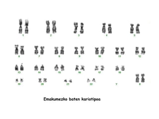 Emakumezko baten kariotipoa 