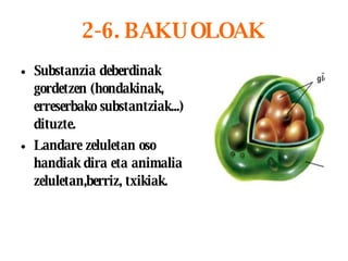 2-6. BAKUOLOAK Substanzia deberdinak gordetzen (hondakinak, erreserbako substantziak...) dituzte. Landare zeluletan oso handiak dira eta animalia zeluletan,berriz, txikiak.   