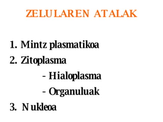ZELULAREN ATALAK Mintz plasmatikoa Zitoplasma - Hialoplasma - Organuluak 3.  Nukleoa 