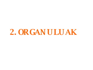 2. ORGANULUAK 