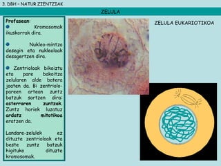 3. DBH – NATUR ZIENTZIAK
ZELULA
Profasean:
Kromosomak
ikuskorrak dira.
Nukleo-mintza
desegin eta nukleoloak
desagertzen dira.
Zentrioloak bikoiztu
eta pare bakoitza
zelularen alde batera
joaten da. Bi zentriolo-
pareen artean zuntz
batzuk sortzen dira:
asterraren zuntzak.
Zuntz horiek luzatuz
ardatz mitotikoa
eratzen da.
Landare-zelulek ez
dituzte zentrioloak eta
beste zuntz batzuk
higituko dituzte
kromosomak.
ZELULA EUKARIOTIKOA
 