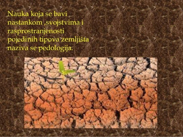 Zemljiste