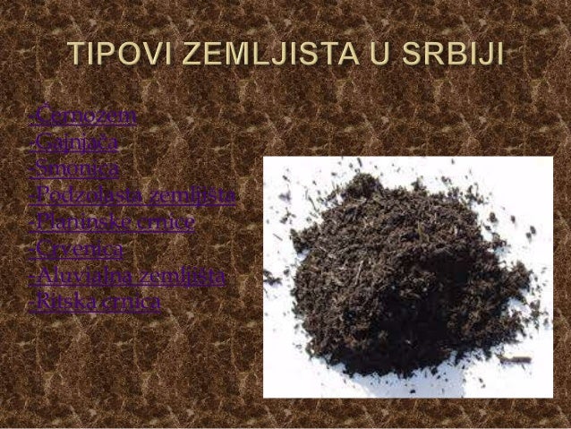 Zemljiste