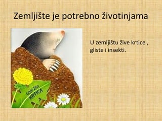 Zemljište je potrebno životinjama
U zemljištu žive krtice ,
gliste i insekti.
 